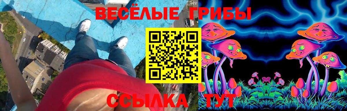 Полысаево  Галлюциногенные грибы Magic Shrooms  Галлюциногенные грибы мухоморы  Вход с VPN 